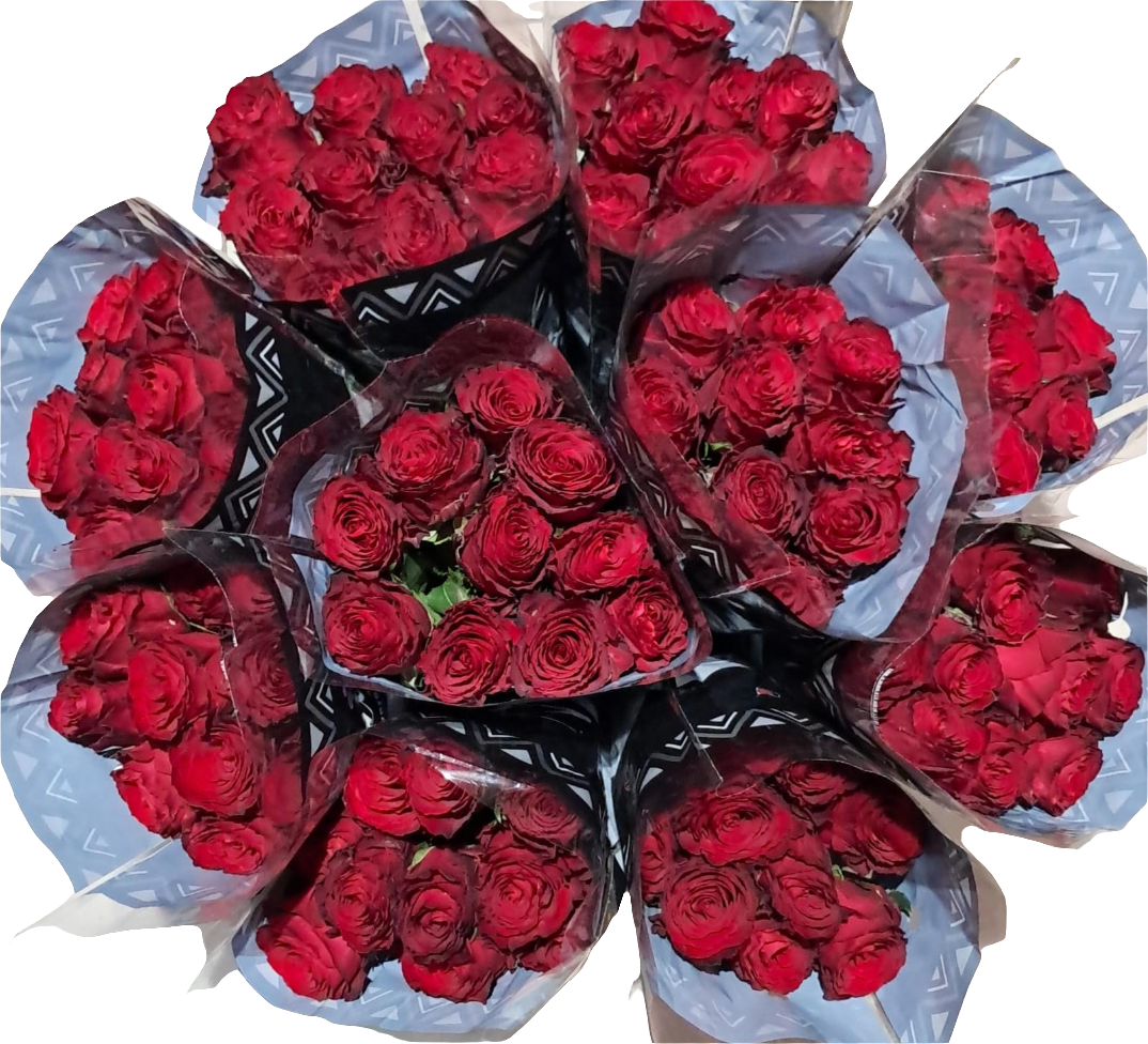 40 Madam Red Roses