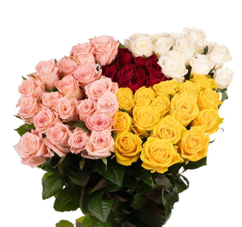 Mix Roses