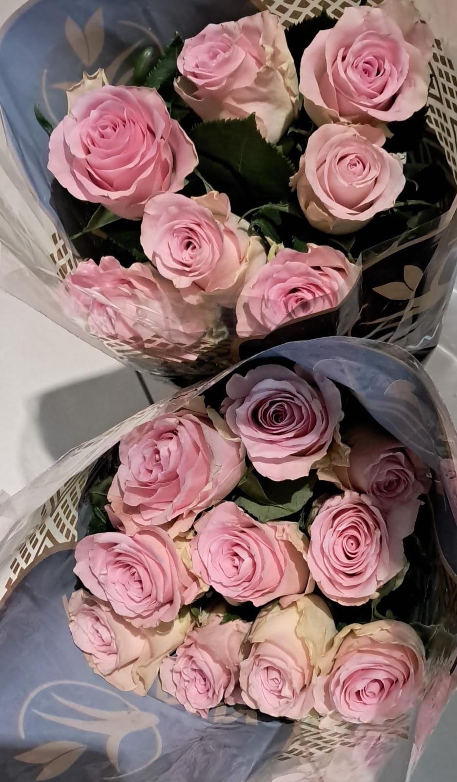 Pink and white roses