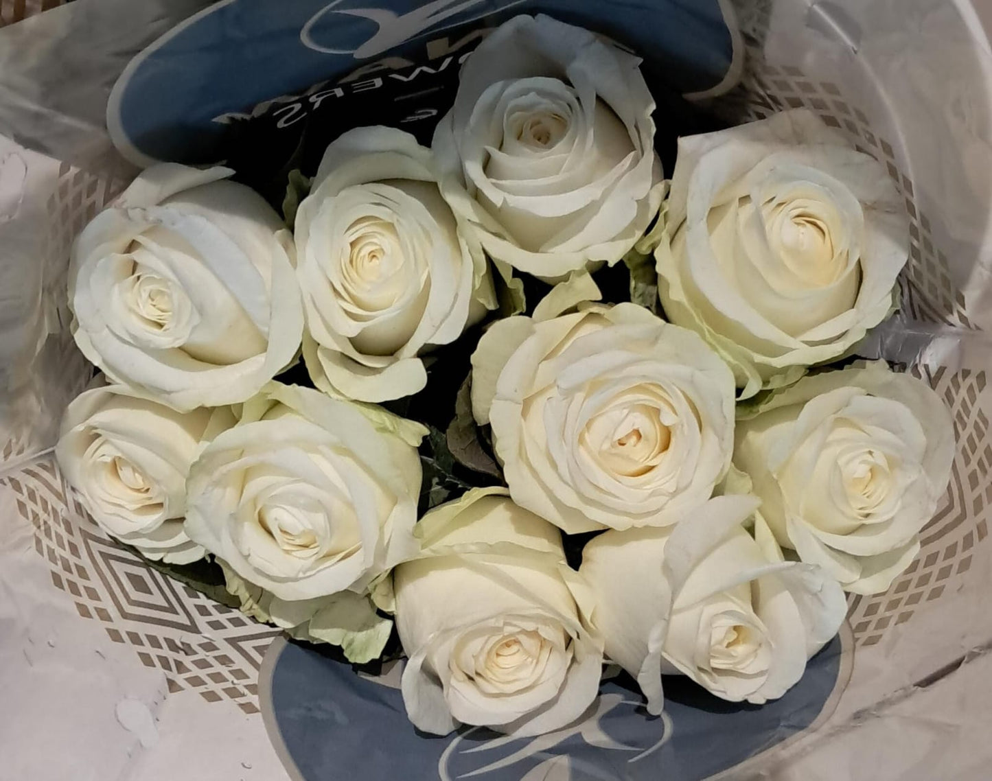 Pink and white roses