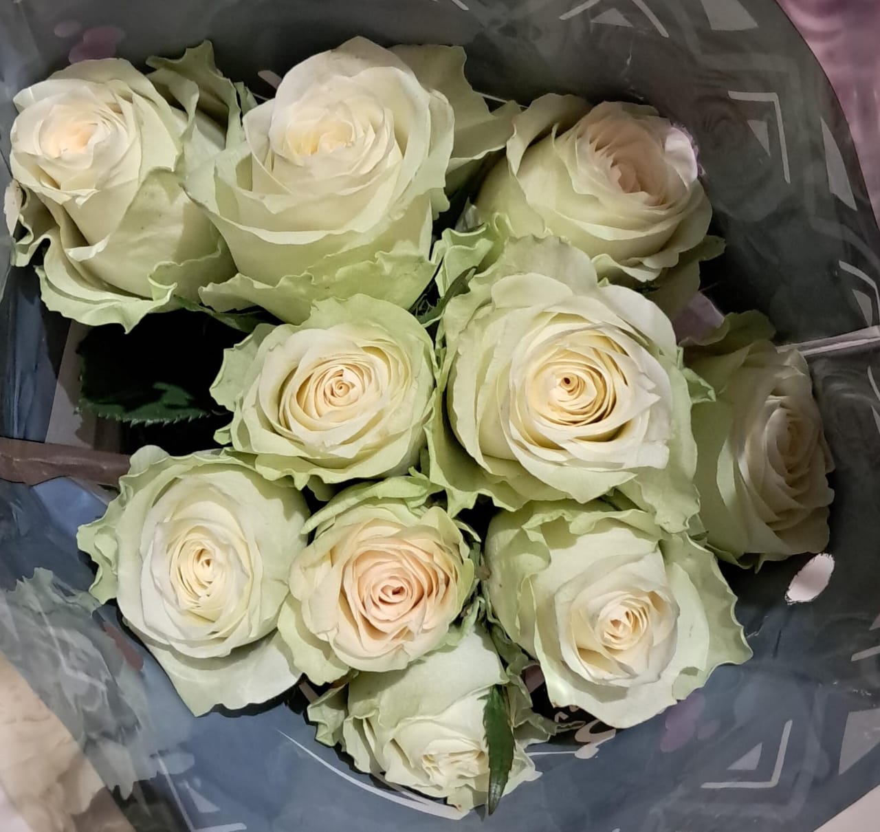 40 Athena Roses