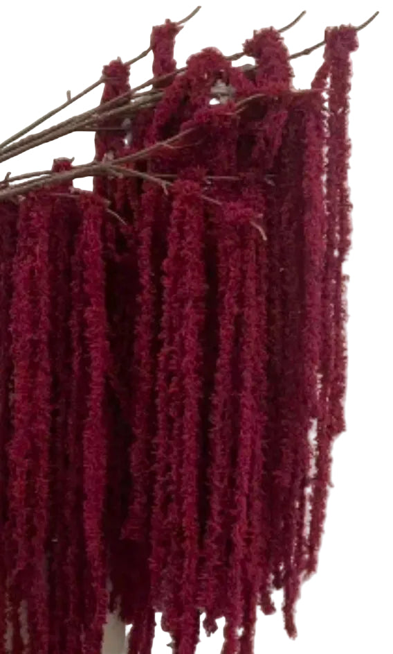 Set of 4 Artificial Amaranth flowers